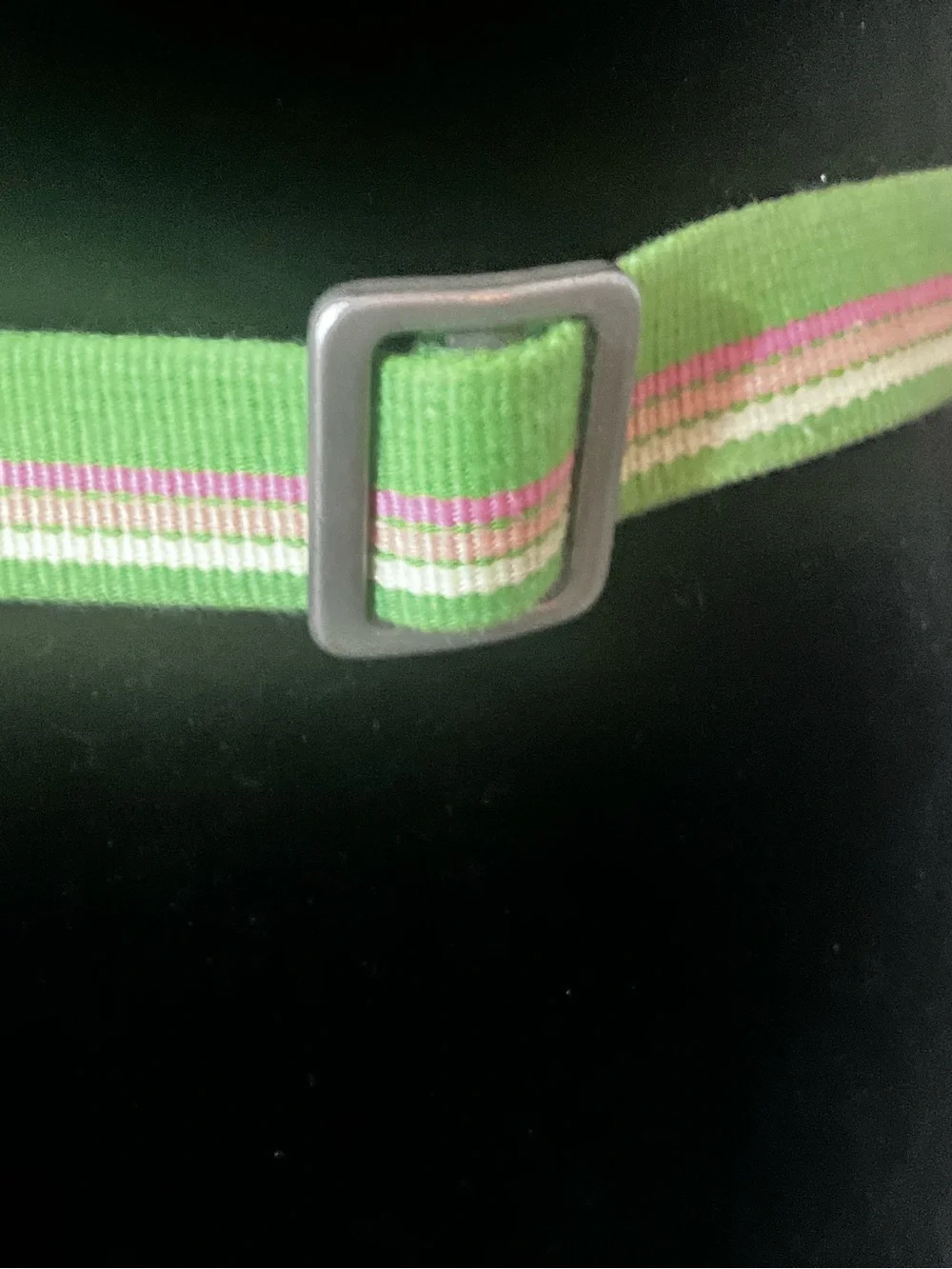 J Crew green and pink striped fabric belt metallic D-ring closure - Picture 5 of 9